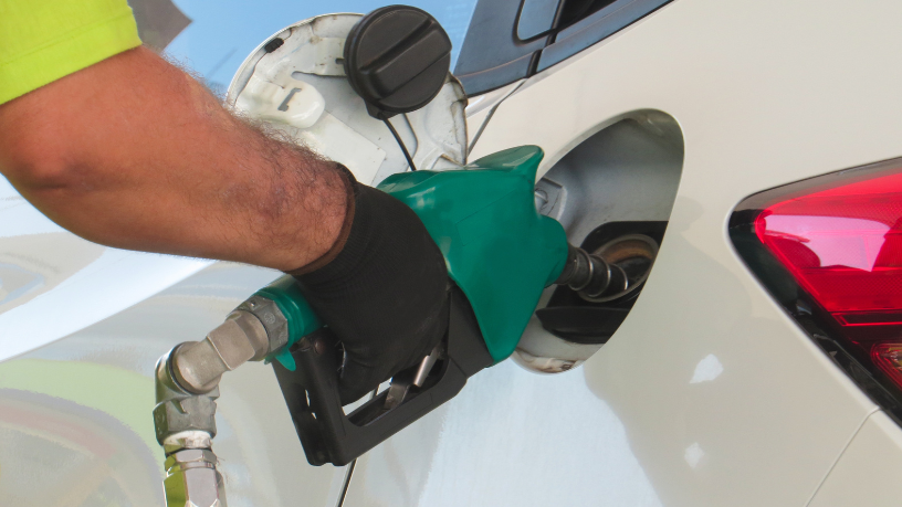 Fernando Trabach Filho