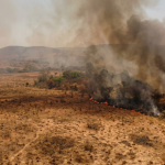 El Niño extraforte pode aumentar calor e queimadas no Norte e Nordeste: o que muda para a população