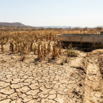 El Niño acende alerta no Norte e Nordeste: o que os governos precisam fazer para proteger água, agricultura e população