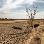 Norte e Nordeste podem enfrentar mais calor e menos chuva: o que a previsão climática significa para a população e a economia regional
