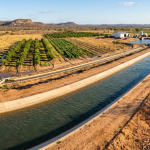 Água do São Francisco avança no Nordeste e pode mudar abastecimento, agricultura e economia regional