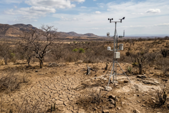 Inteligência artificial começa a prever secas rápidas no Nordeste e na Amazônia e pode mudar decisões no campo
