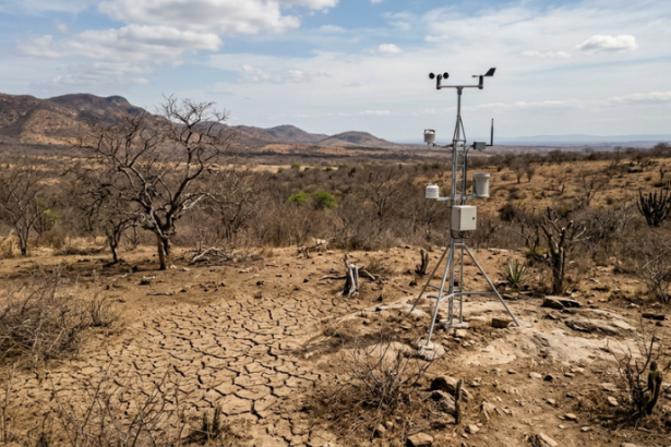 Inteligência artificial começa a prever secas rápidas no Nordeste e na Amazônia e pode mudar decisões no campo