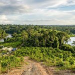 Fundo criado pelo Brasil ganha R$ 2,7 bilhões do Reino Unido: o que a Amazônia e o Norte podem receber