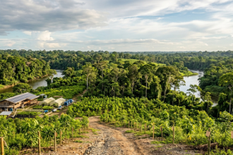 Fundo criado pelo Brasil ganha R$ 2,7 bilhões do Reino Unido: o que a Amazônia e o Norte podem receber