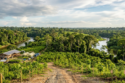 Fundo criado pelo Brasil ganha R$ 2,7 bilhões do Reino Unido: o que a Amazônia e o Norte podem receber