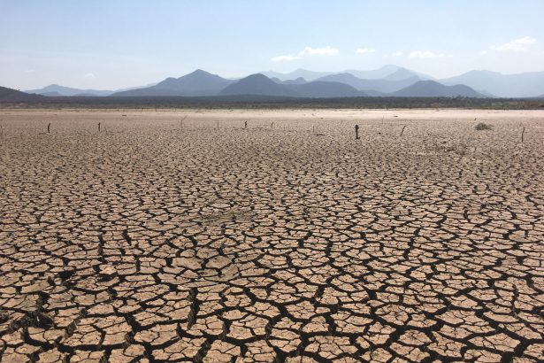 Paisagem rural extensa com o solo severamente rachado sob céu aberto, indicando condições de seca.