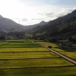 Vista aérea de áreas agrícolas verdes cercadas por montanhas em Massaranduba, Santa Catarina.