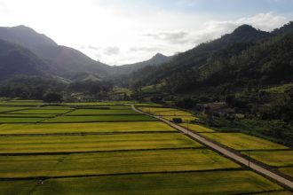 Vista aérea de áreas agrícolas verdes cercadas por montanhas em Massaranduba, Santa Catarina.