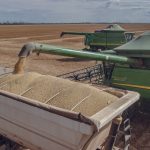 Colheitadeiras transferem soja colhida para um caminhão em uma propriedade rural de Paragominas, no Pará.