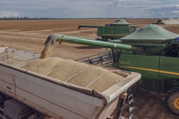 Colheitadeiras transferem soja colhida para um caminhão em uma propriedade rural de Paragominas, no Pará.